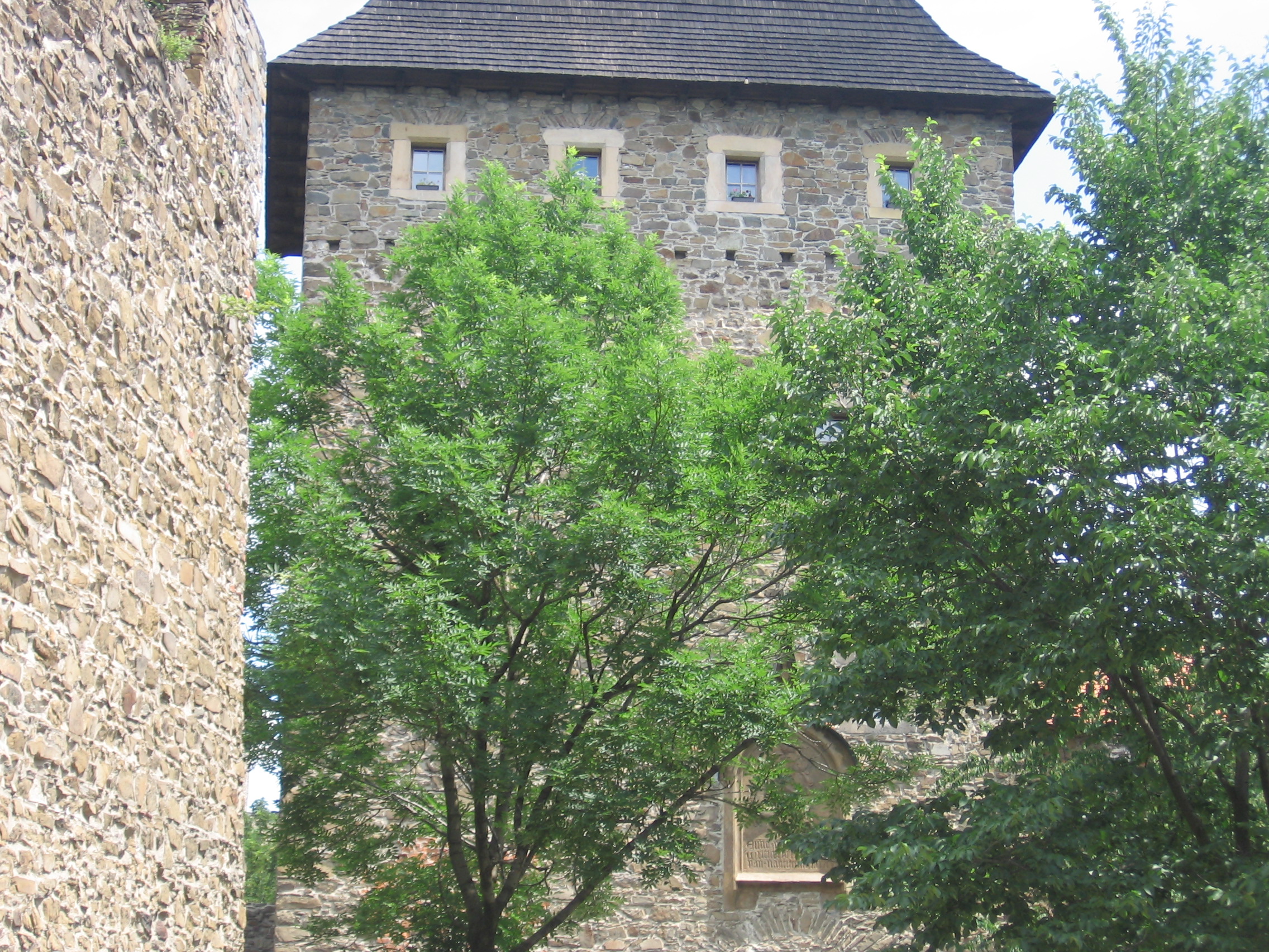 IMG_2265.JPG
